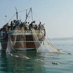 زمان آغاز رسمی صید میگو در آبهای بوشهر