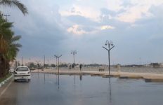 هواشناسی بوشهر هشدار زرد داد