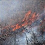 آتش‌سوزی گسترده در ارتفاعات دشتستان/ خبر تکمیلی: مهار آتش پس از ۸ ساعت