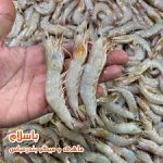 بازار مملو از میگو قبل از شروع صید رسمی!