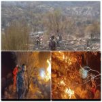 گیسکان دشتستان بعد ۵ روز خاموش شد