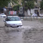 هشدار نارنجی هواشناسی؛ هفته بارانی در انتظار بوشهر