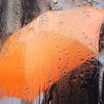 وزیر کشور به بوشهر آماده باش داد