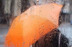 وزیر کشور به بوشهر آماده باش داد